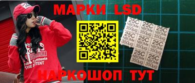 СК Новозыбков