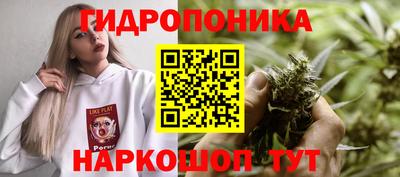 СК Новозыбков