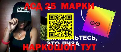 СК Новозыбков