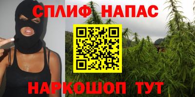СК Новозыбков