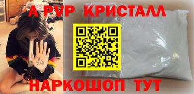 СК Новозыбков
